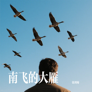 南飞的大雁