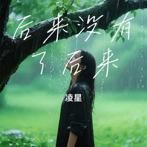 后来没有了后来