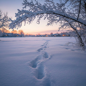 雪の足跡