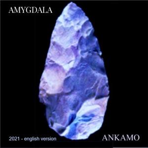 Amygdala