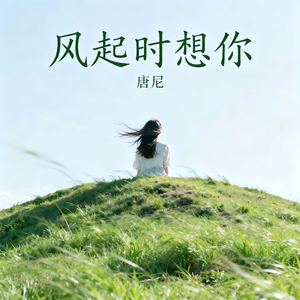 风起时想你