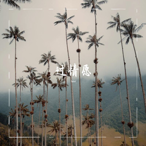 过情愿