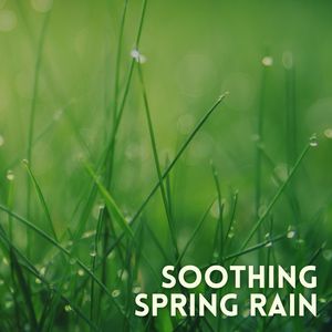 Stimulating Spring Cloudburst