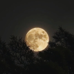 Until the End of Time