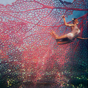 Petrificado (Accoustic Versión)