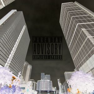 DAMN！（夜游随笔）