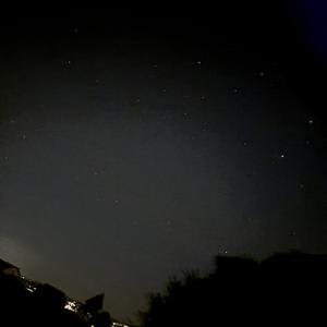 Der letzte Aufschrei