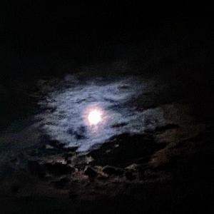 Bittersweet (Moonlight Mix)