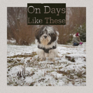 It's Not For Me to Say