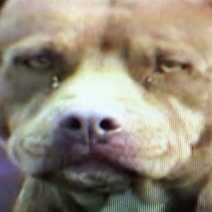 just the thought of it drains me