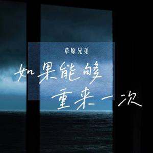 如果能够重来一次 (DJ阿尼对白版)