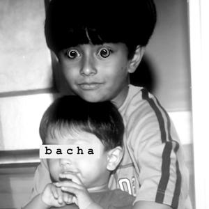 bacha