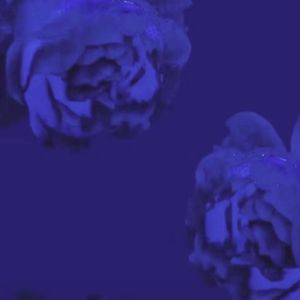 【FREE】“for love” drill beat