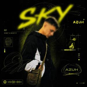toco el sky