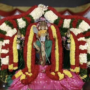 திருப்புகழ் 290 மலை முலைச்சியர் (திருத்தணிகை)