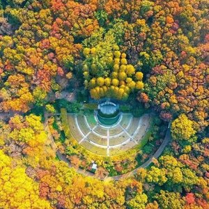 他们深深爱着我们.mp3