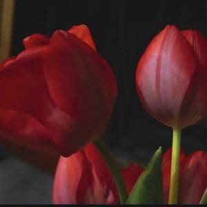 我们之间 礼貌得不像曾经爱过