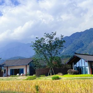 我已不是当初模样（翻自 舒岩）