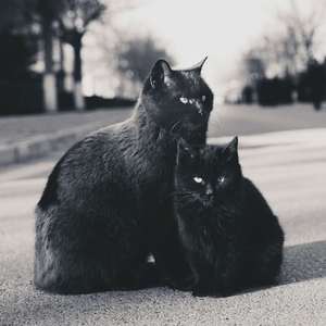 Run, Run, Run...（Cover Emme Packer）