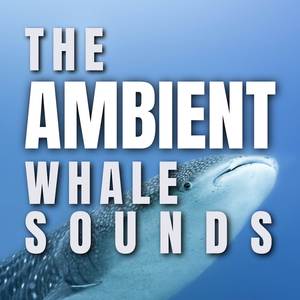 Whale Sound