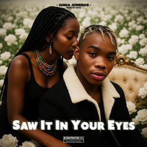 Saw It In Your Eyes