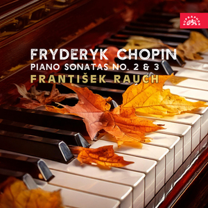 Piano Sonata No. 3 in B Minor, Op. 58:IV. Finale. Presto non tanto