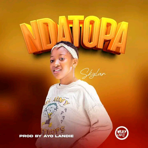 Ndatopa(prod.Landie)