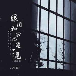 眼泪和回忆追了尾 (DJ志飞)