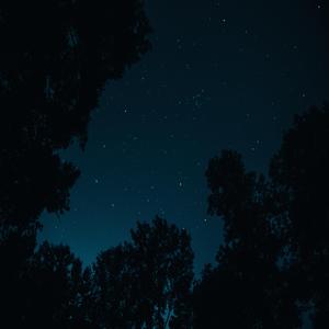 said you wanted everything