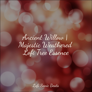 Synthronization Symphony