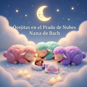 Prado de Ovejita (Versión Caja Musical)