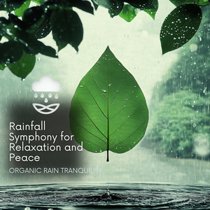Flexibility Stretch, Rain Noise