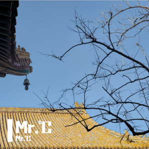 #2 夕阳 回忆 汽水 和你 2023