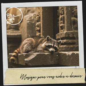 Sternenklare Schlummerlieder