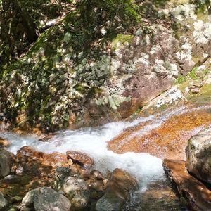 九歌·山鬼（上古汉语拟音）（winky诗版翻唱）