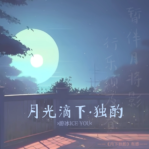 月光滴下·独酌