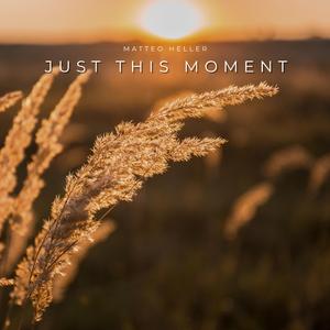 Just This Moment