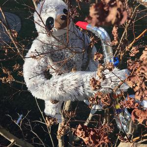 It's Raining Fat Cats and Hot Dogs