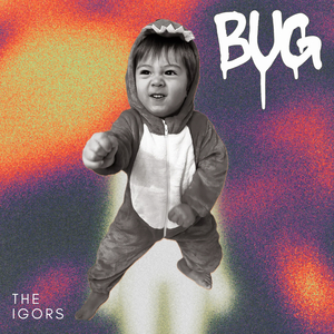 Bug