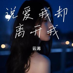 说爱我却离开我