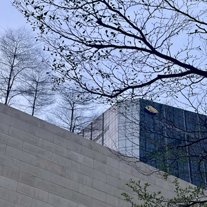 挚友：生活的解药.wav