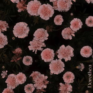 그렇게 사랑은(爱情就那样...)(Chinese ver.)