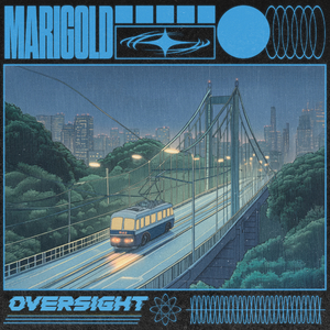 oversight