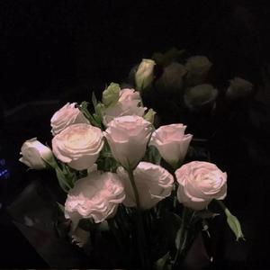 以你为名的世界