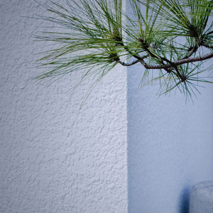 抑郁情绪释放波