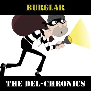 Burglar