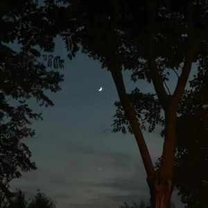 Lil-Yh-不必了解（Shark Remix）