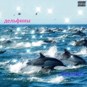 Дельфины (Nightcore)