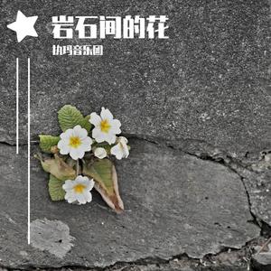 岩石间的花