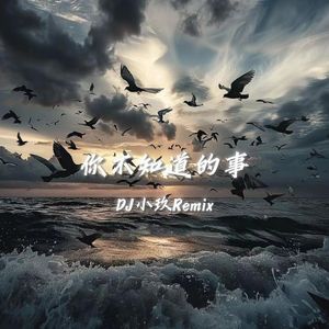 你不知道的事（DJ小玖Remix）